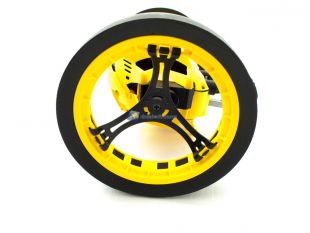 Parrot-Jumping-RACE-TukTuk-21