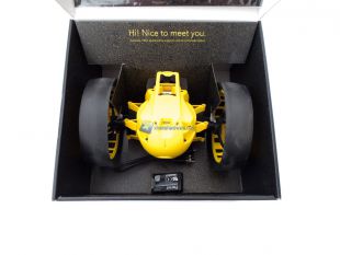 Parrot-Jumping-RACE-TukTuk-4