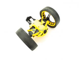Parrot-Jumping-RACE-TukTuk-8